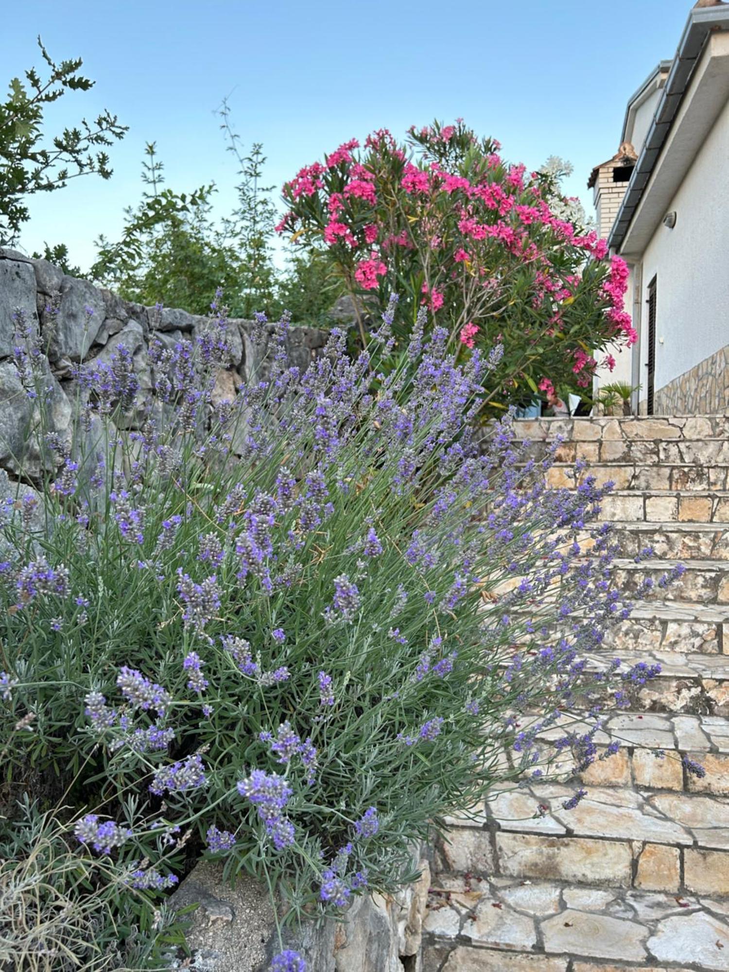 Apartmán Mestrovic, Klimno, Soline Bay, Island Krk *