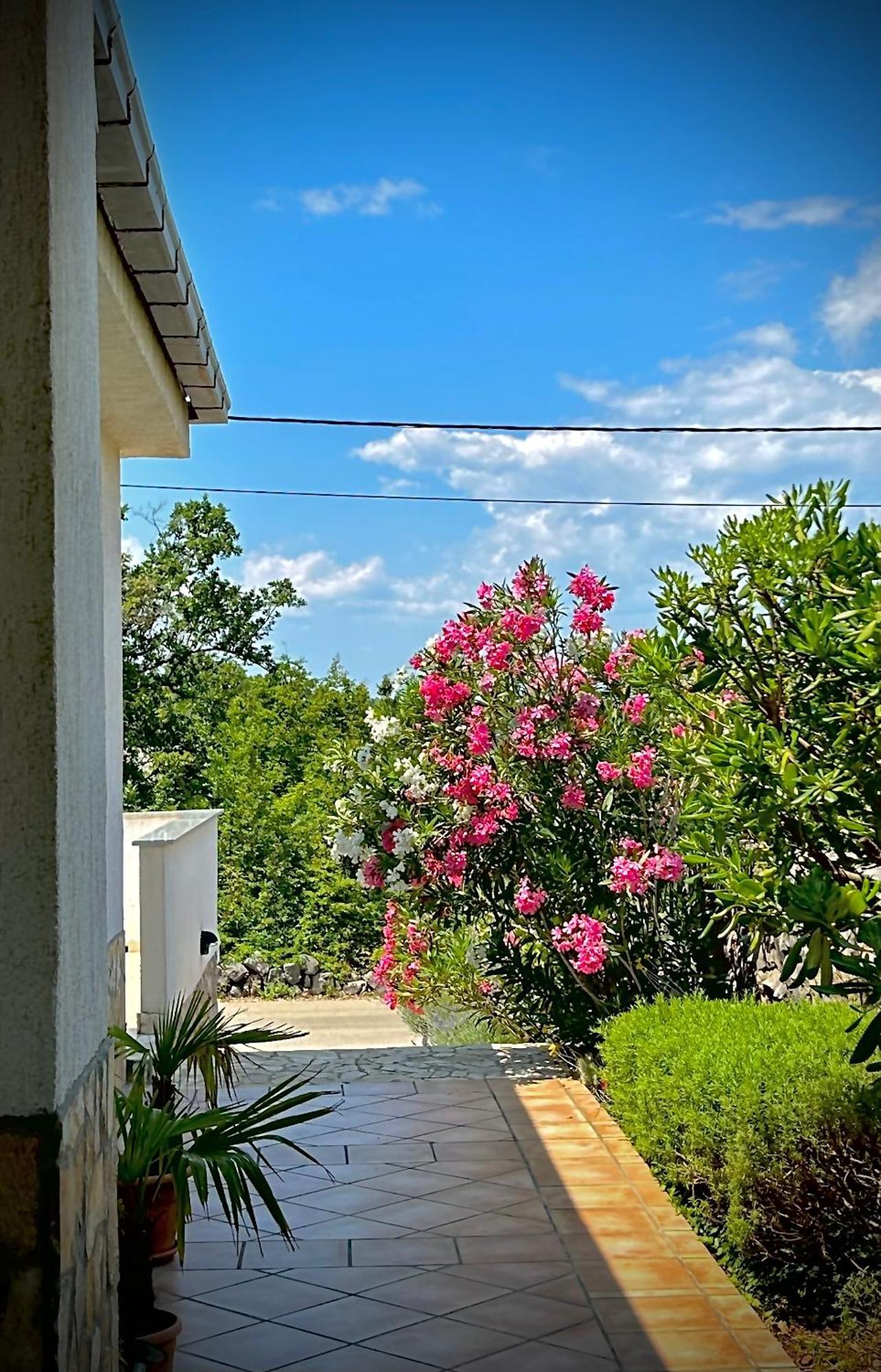 Mestrovic, Klimno, Soline Bay, Island Krk Apartmán *